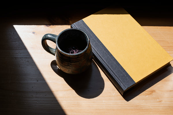 A Book You'll Actually Want to Come Back To